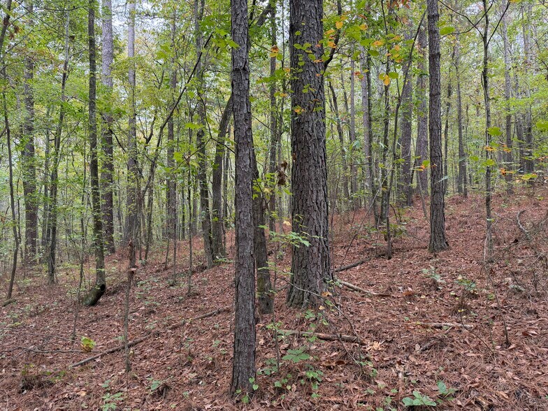 More Photos Of Colquitt Rd, Cedartown Land For Sale