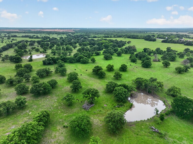More Photos Of 14145 US-281, Santo Specialty For Sale