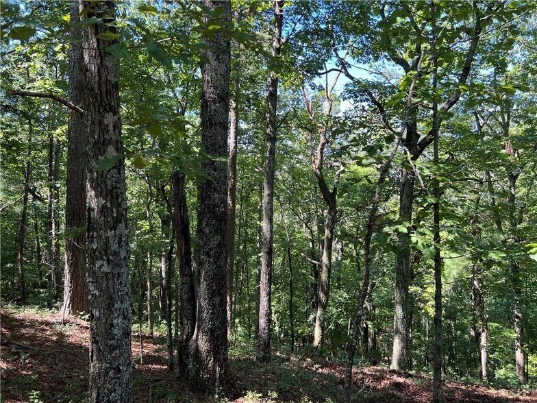 More Photos Of 16 Hawks Branch #123, White Land For Sale