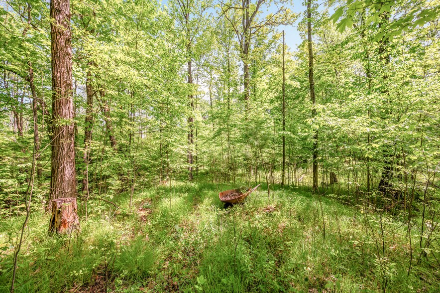 More Photos Of V/L 220th Ave, Big Rapids Land For Sale