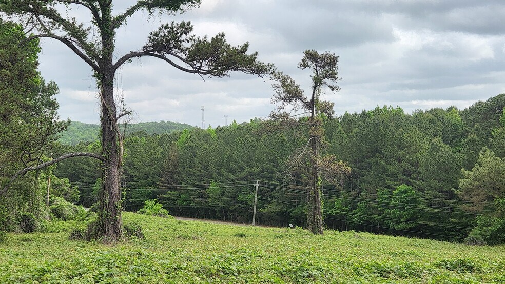 More Photos Of Near 5370 Deerfoot Parkway Pky, Trussville Land For Sale