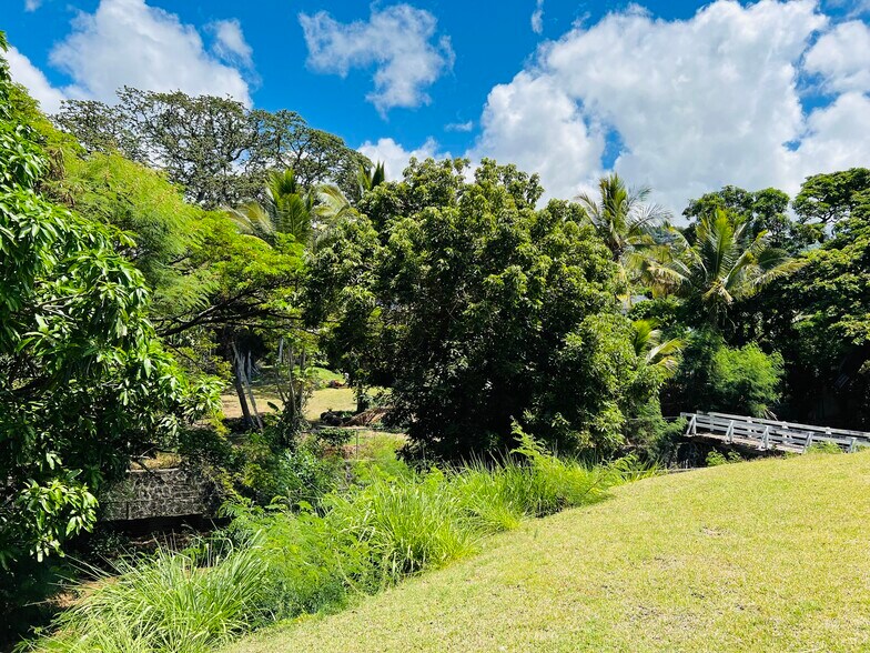 More Photos Of 322 Auwaiolimu St, Honolulu Land For Sale