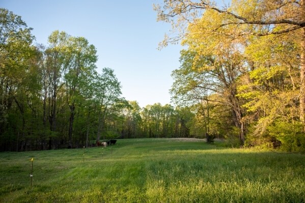 More Photos Of 115 Kidd Rd, Colfax Land For Sale