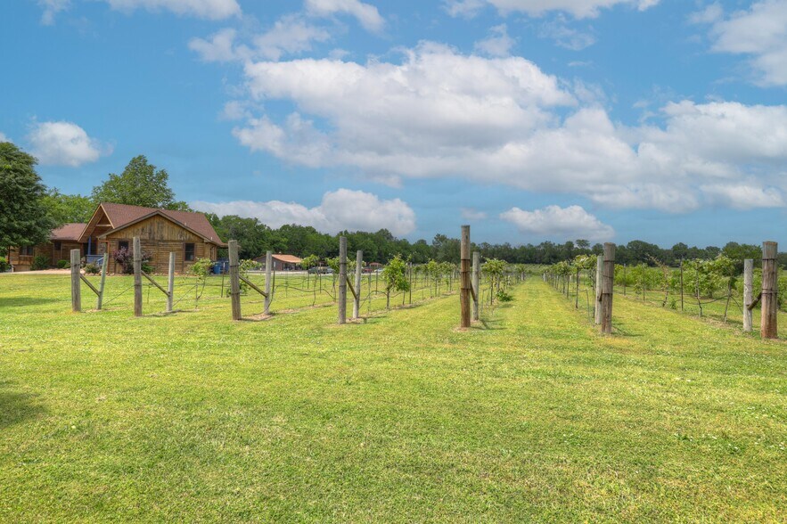 More Photos Of 25695 Mulberry Rd, Webb City Winery Vineyard For Sale