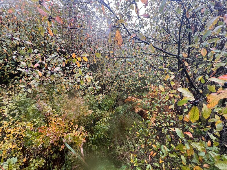 More Photos Of Rocks Edge Road, Bethlehem Land For Sale