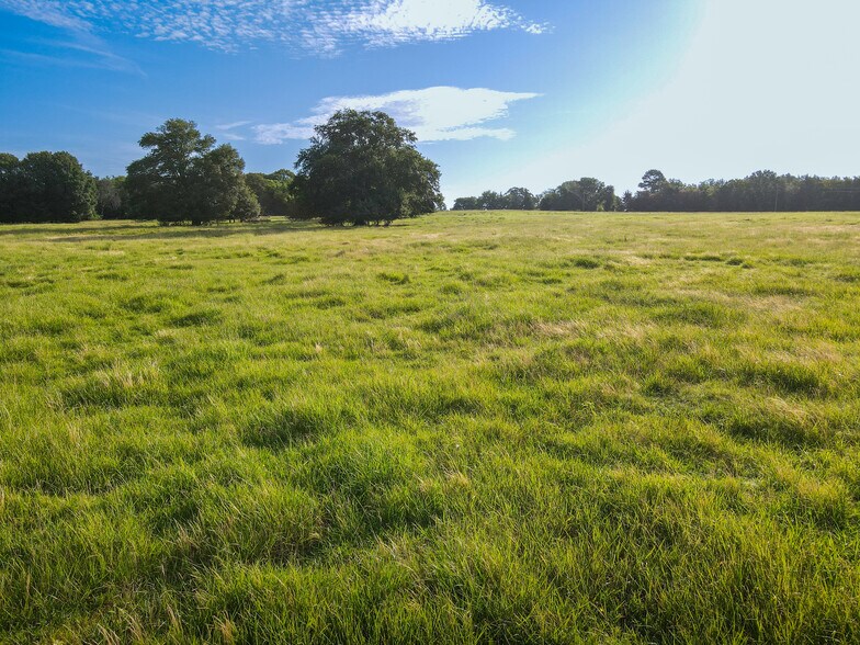 More Photos Of Intersection of FM 2029 and FM 409, Telephone Land For Sale