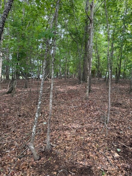 More Photos Of 357 Linwood dr, Gainesville Land For Sale