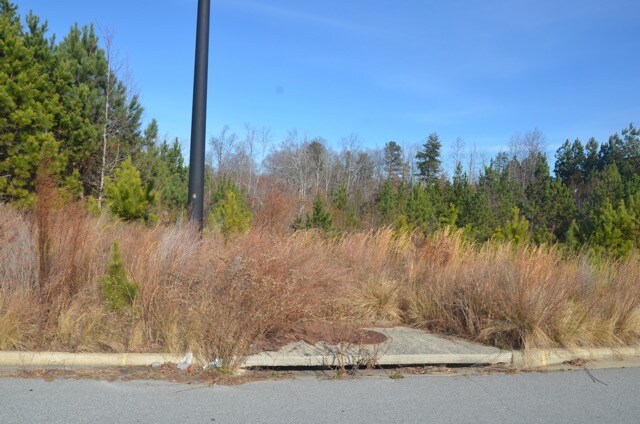 More Photos Of 4946 Lexie Ln, Buford Land For Sale