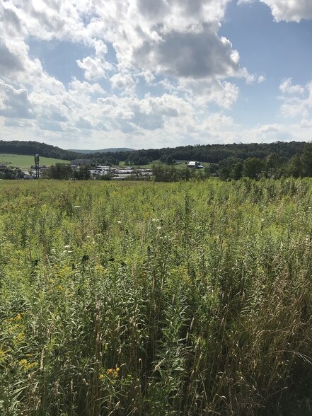 More Photos Of , New Milford Land For Sale