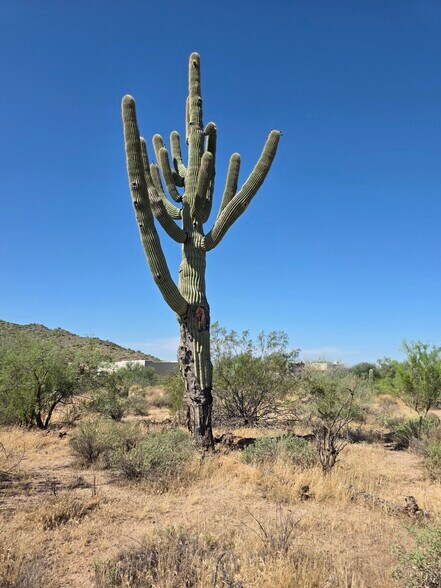 More Photos Of 31602 Black Cross #19 Rd, Scottsdale Land For Sale