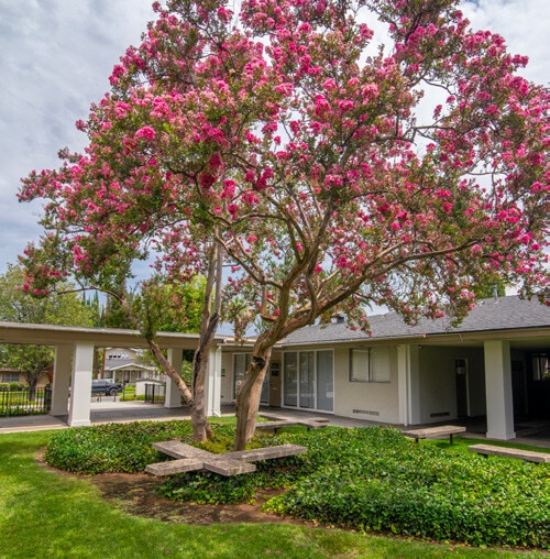 More Photos Of 16 E Fern Ave, Redlands Medical For Sale