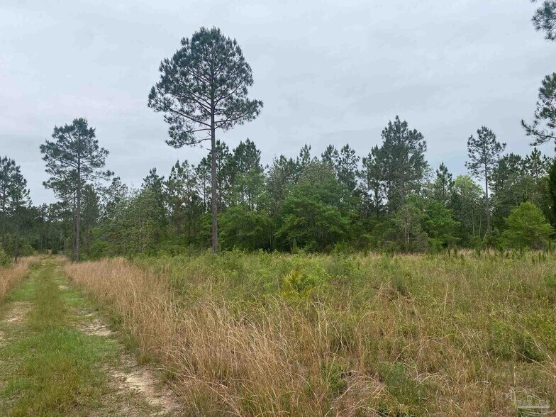 More Photos Of Walther Rd, Milton Land For Sale