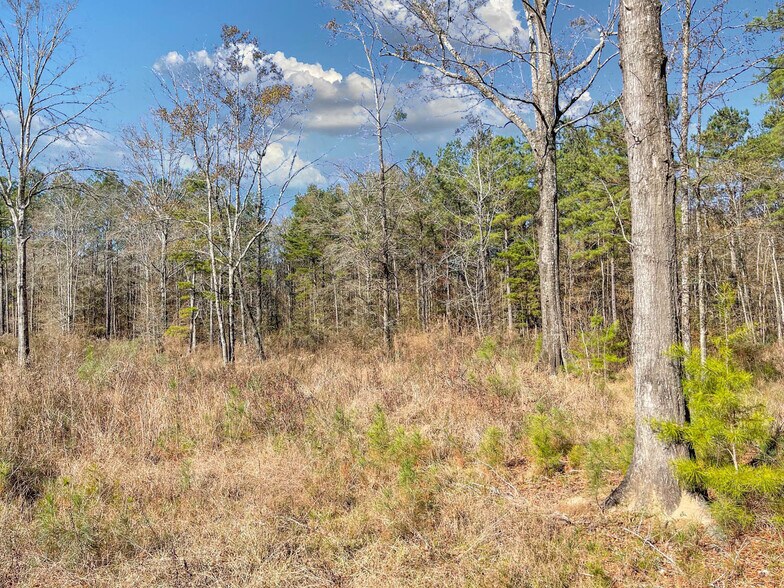 More Photos Of 14747-15807 Hubbs Rd, Pride Land For Sale