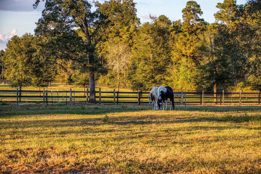 More Photos Of 23192 Murrell Rd, Hockley Lodge Meeting Hall For Sale