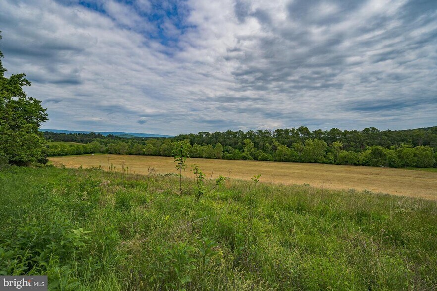 More Photos Of 895 Fishers rd, Maurertown Land For Sale