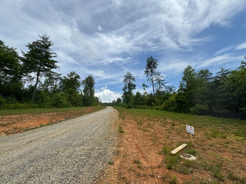 More Photos Of Hwy 515, Morganton Land For Sale