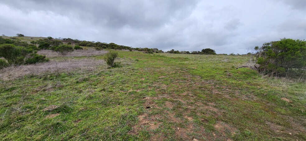 More Photos Of Salinas Road Hwy, San Juan Bautista Land For Sale