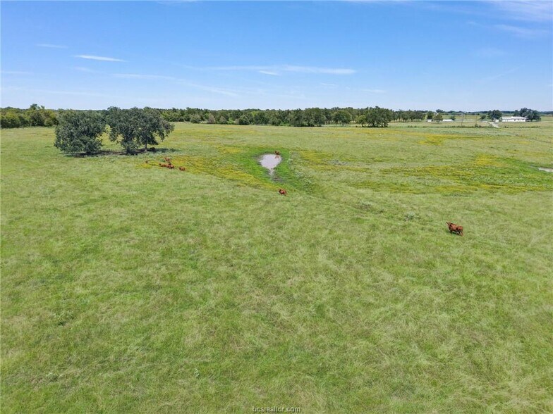 More Photos Of 2970 County Road 270, Cameron Land For Sale