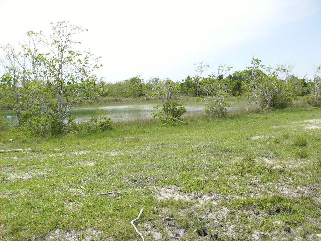 More Photos Of FM 2004 @ Avenue C, Hitchcock Land For Sale