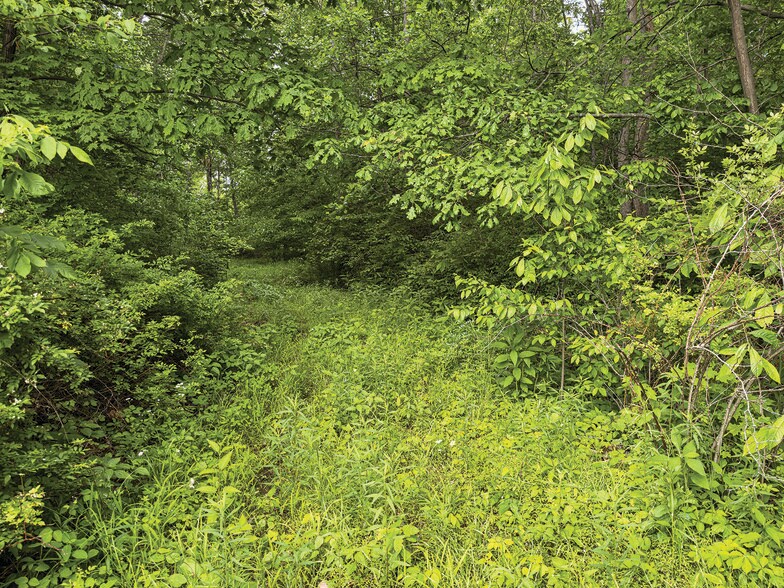 More Photos Of 2475 W County Road 1050 S, Cloverdale Land For Sale