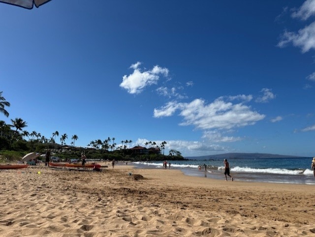 More Photos Of 3135 Lower Kula Rd, Kula Storefront Retail Office For Sale