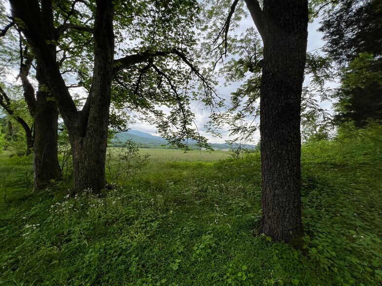 More Photos Of 6387 Airport Rd, Andrews Land For Sale