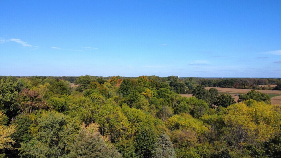 More Photos Of 41193 N Park St, Paw Paw Land For Sale