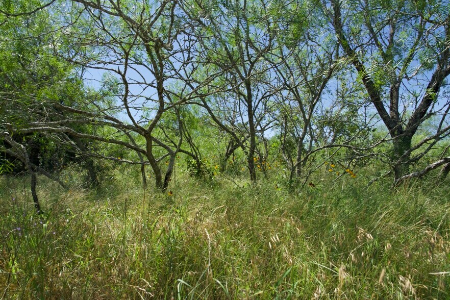 More Photos Of 00 Taylorsville Rd, Red Rock Land For Sale