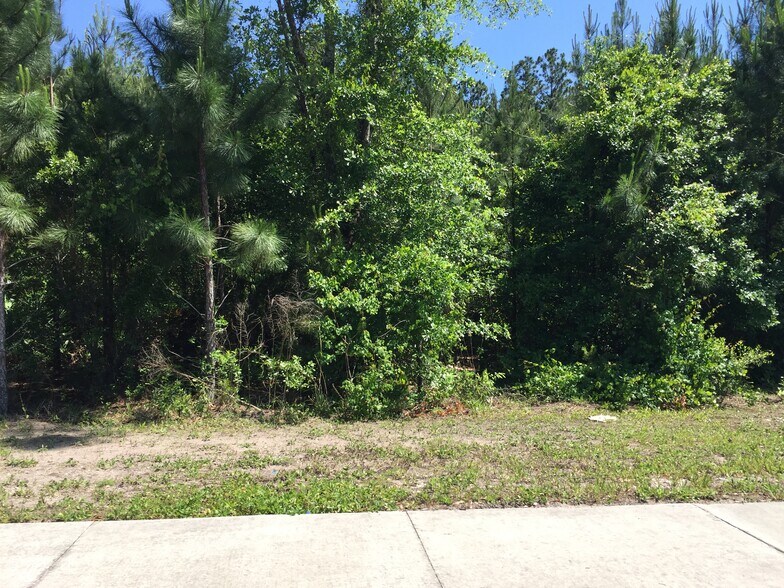 More Photos Of 0 Max Leggett Pky, Jacksonville Land For Sale