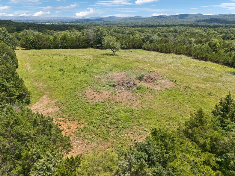More Photos Of 7665 Shelbyville Pike, Christiana Land For Sale