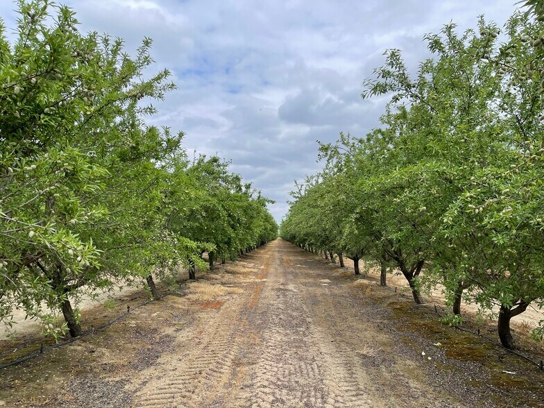 Primary Photo Of 12251 E Jefferson Ave, Del Rey Land For Sale