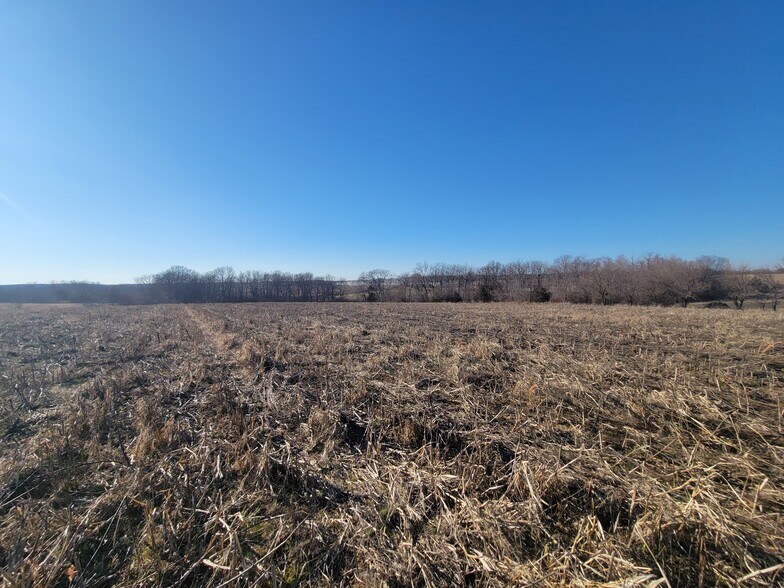More Photos Of 171 Windy Hill Rd. (20+/- Acres), Elsberry Land For Sale