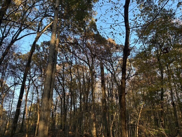 More Photos Of HWY 301, Horn Lake Land For Sale