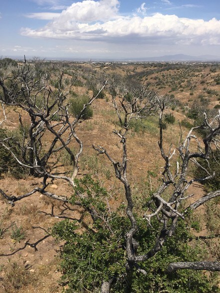 More Photos Of & Ranchero, Oak Hills Land For Sale