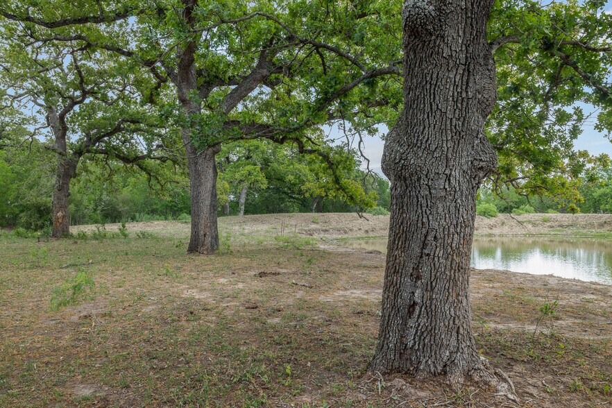More Photos Of 9765 State Park Rd, Lockhart Land For Sale