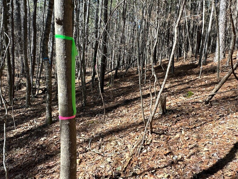 More Photos Of 3472 Prior Station Rd, Cedartown Land For Sale