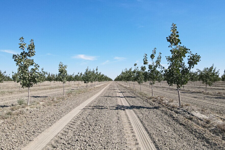 Avenue 54, Alpaugh, CA 93201 Land For Sale