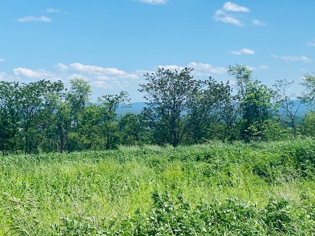 More Photos Of 00 Clarks Lane, Milton Land For Sale