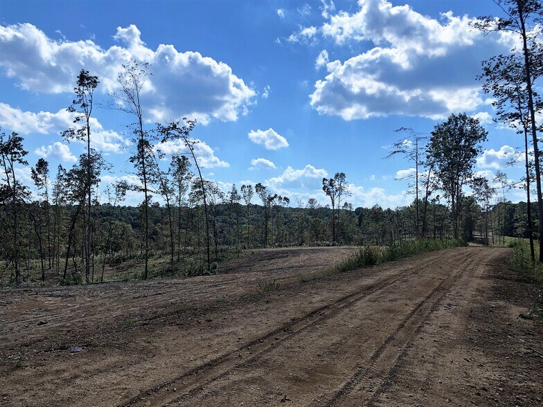 More Photos Of 1037 Fairview Blvd, Fairview Land For Sale