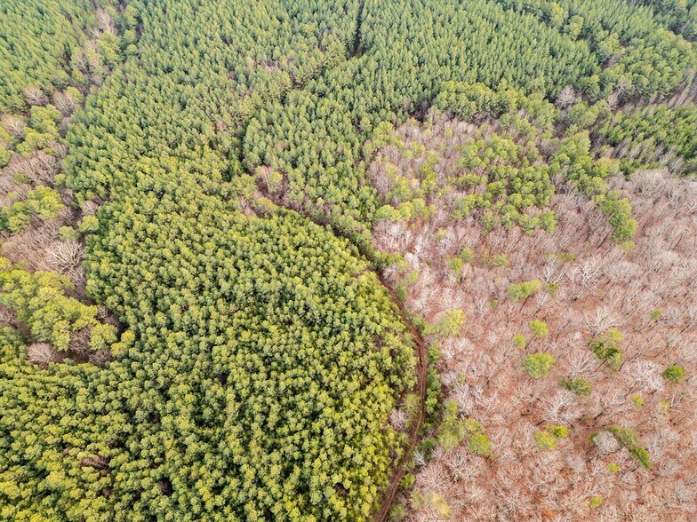 More Photos Of 762 Smith Mountain Rd, Dunlap Land For Sale