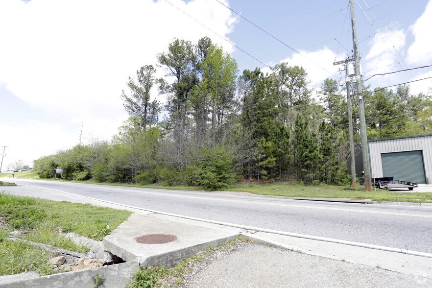 More Photos Of Maltbie St, Lawrenceville Land For Sale