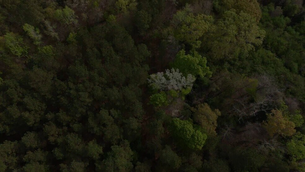 Primary Photo Of 1951 Old Edisto Rd, Orangeburg Land For Sale