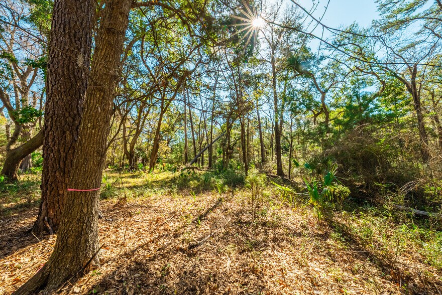 More Photos Of 0 King Rail Lane, Edisto Island Land For Sale