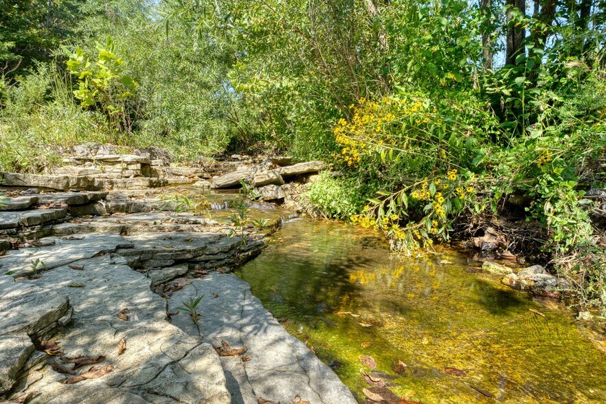 More Photos Of CR 211, Eureka Springs Land For Sale