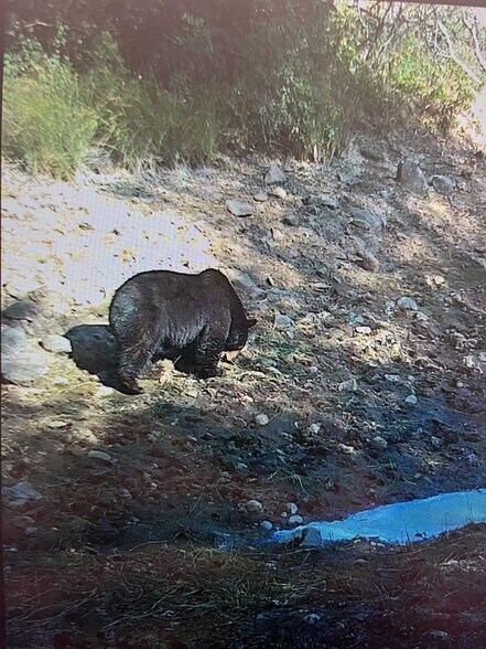 More Photos Of 14388 Fern Rd, Whitmore Land For Sale