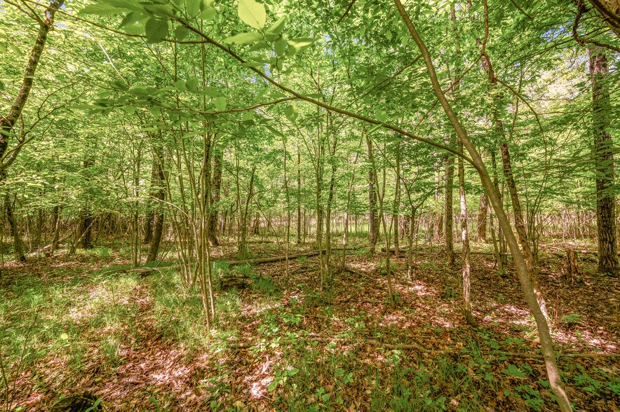 More Photos Of V/L 220th Ave, Big Rapids Land For Sale