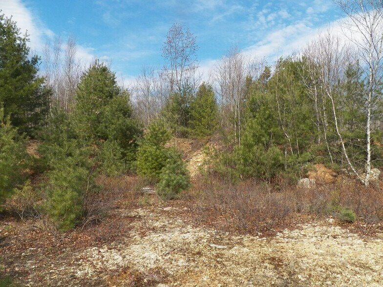 More Photos Of 988 Dover Rd, Epsom Land For Sale
