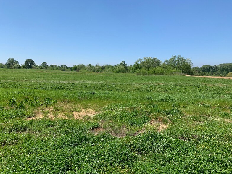 Primary Photo Of 000B-3B Highway 61, Natchez Land For Sale