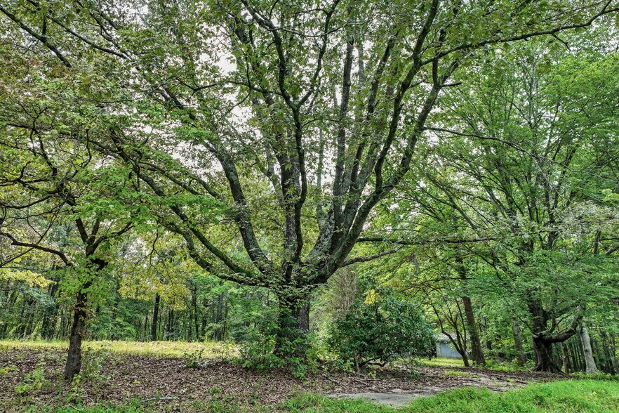 More Photos Of 4363 Sardis Rd, Gainesville Land For Sale