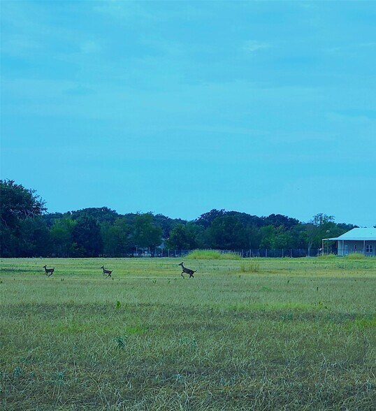 More Photos Of Tract 6 CR 4048, Kemp Land For Sale